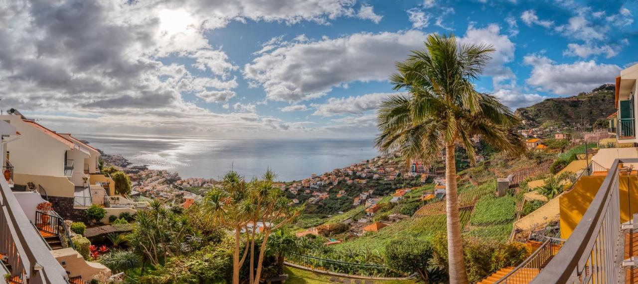 Palm Tree House By Amazing Madeira Vila Câmara de Lobos Exterior foto