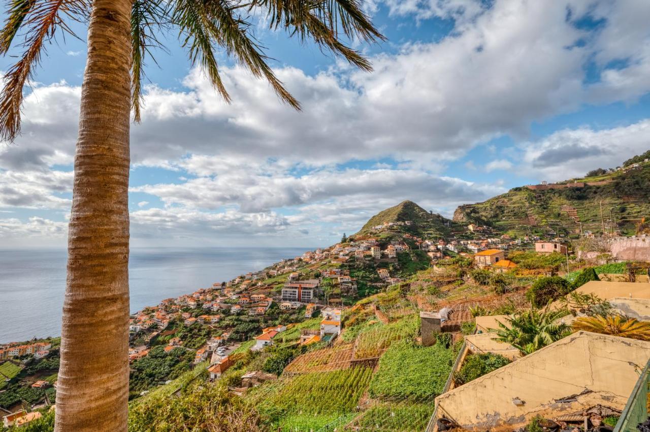 Palm Tree House By Amazing Madeira Vila Câmara de Lobos Exterior foto